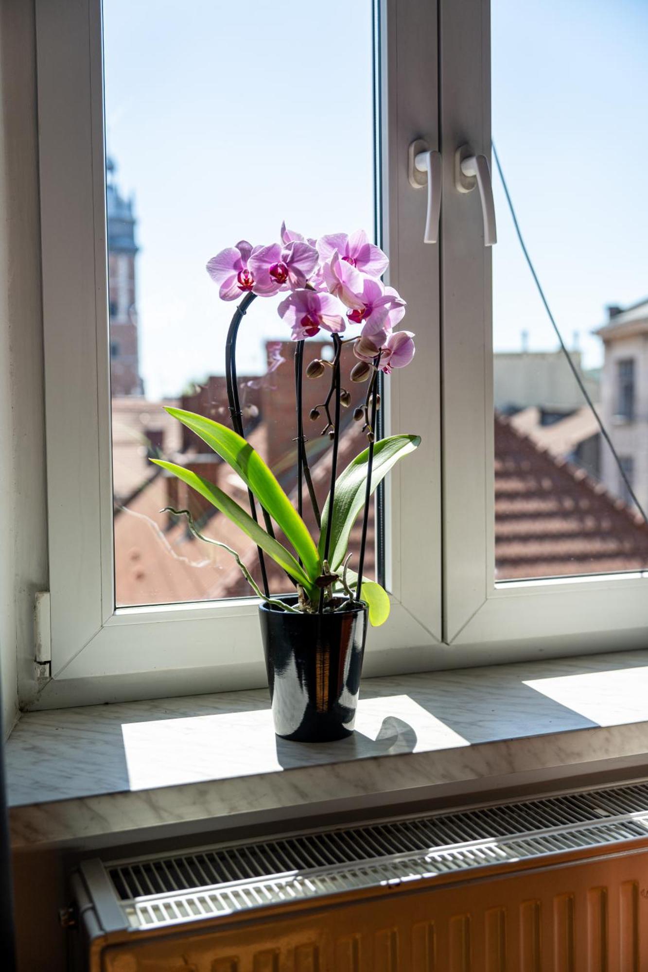 Vista View Apartment Краків Екстер'єр фото